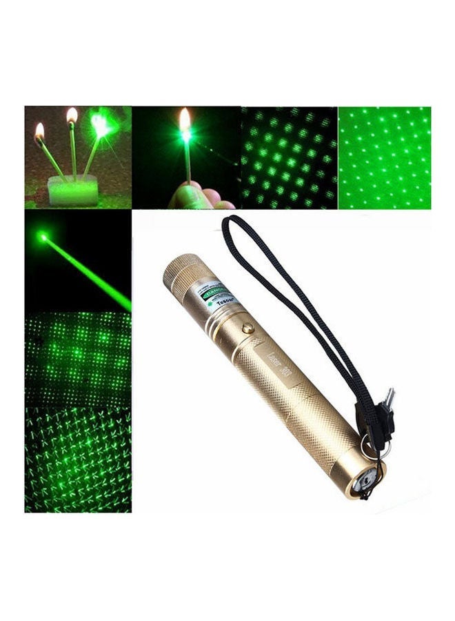 Portable Green Laser Pointer - Gold Silver