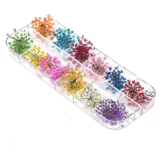 URBAN BOX Nail Decoration Shell - Image 1