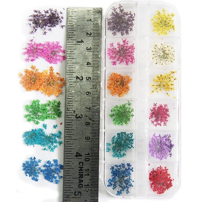 URBAN BOX Nail Decoration Shell - Image 5