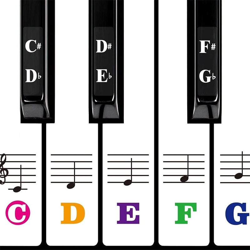 ELECDON Piano Keyboard Stickers for Beginners, 88/61/54/49 Keys Removable Transparent Leaves No Residue Electronic Organ, Hand-rolled Piano Stickers, Big Letters, Perfect for Kids, Easy to Install - Image 1