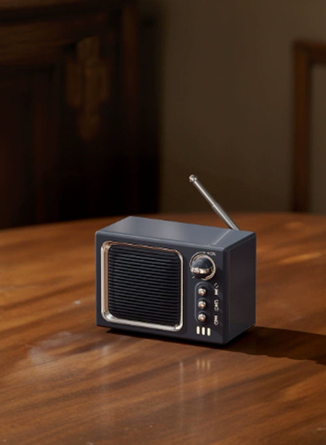 نيوترل مكبر صوت بلوتوث P10 Retro Mini TV Card-Slot يجمع بين تشغيل الموسيقى وراديو FM والتوجيهات الصوتية والتصميم الكلاسيكي مثالي لغرف المعيشة والمكاتب وغرف النوم وغيرها (أسود) - Image 2