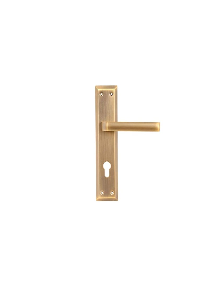 ROBUSTLINE Robustline Door Handle | Aluminum Material | Matt Coffee Color - Image 1