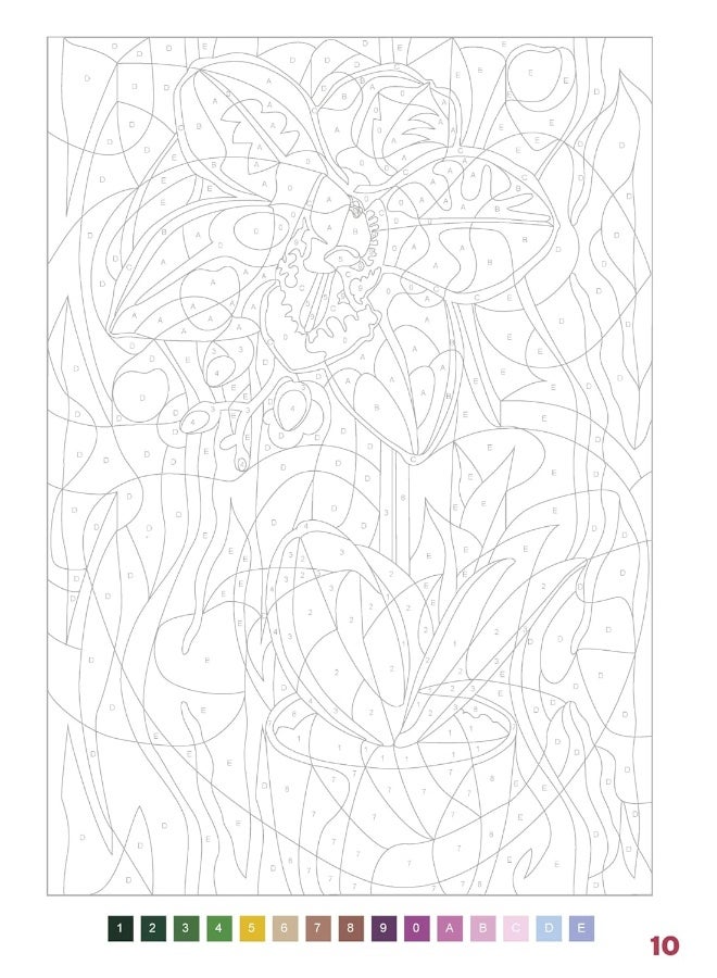 Coloriages mystères - Fleurs  - Image 4