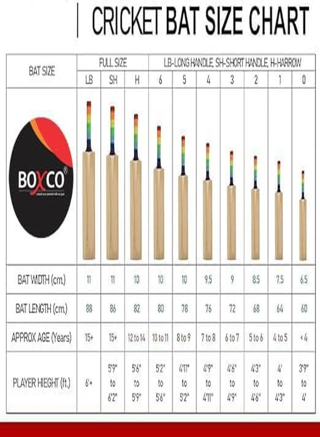 BOXCO Elite Cricket Bat Wooden with 3 Tennis Cricket Balls, Age Upto 9 - Image 5