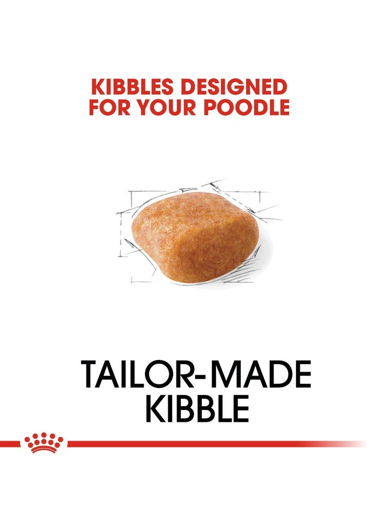 رويال كانين - تغذية صحية لسلالات الكلاب بودل البالغة - وزن 1.5 كجم - Image 2