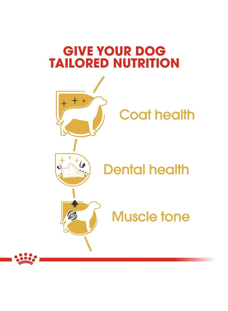 رويال كانين - تغذية صحية لسلالات الكلاب بودل البالغة - وزن 1.5 كجم - Image 4