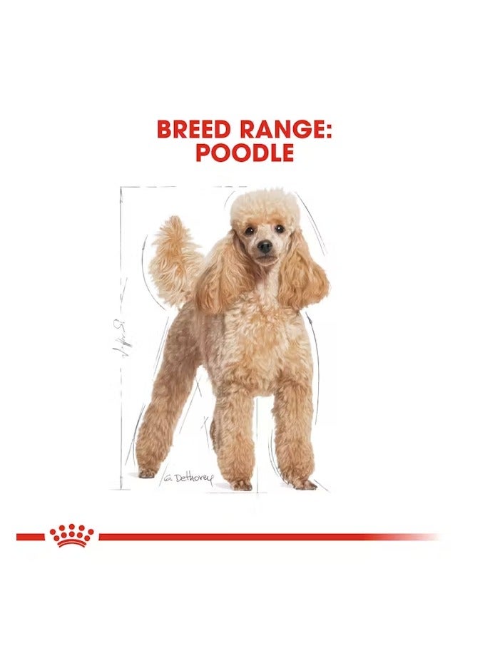 رويال كانين - تغذية صحية لسلالات الكلاب بودل البالغة - وزن 1.5 كجم - Image 5