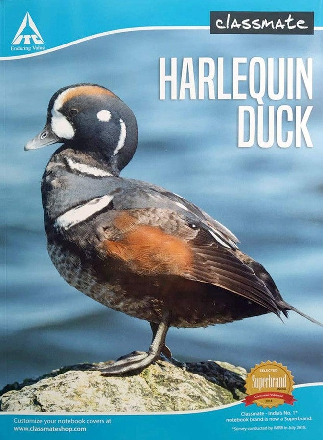 Classmates A4 Long Book - Unruled, Soft Cover, 240 Pages, 297mm x 210mm (3)