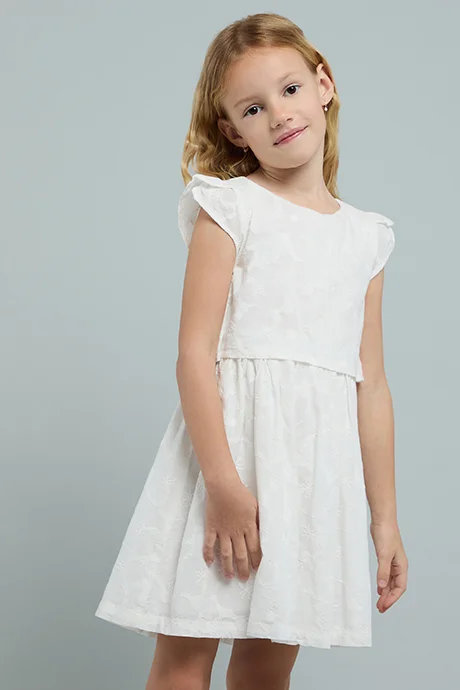 R&B Embroidered Dress with Crew Neck and Cap Sleeves