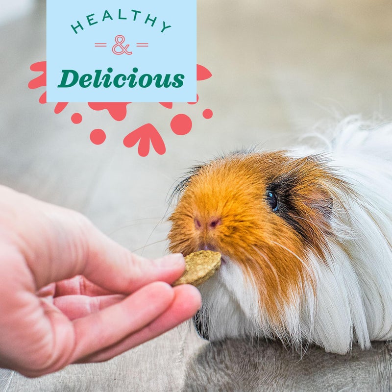 Oxbow Natural Science Vitamin C Supplement, Vitamin C & High-Fiber Timothy Hay, Guinea Pig Items, Made in the USA, Small Pet Supplies, Recommended by Veterinarians, 4.2 oz - Image 3