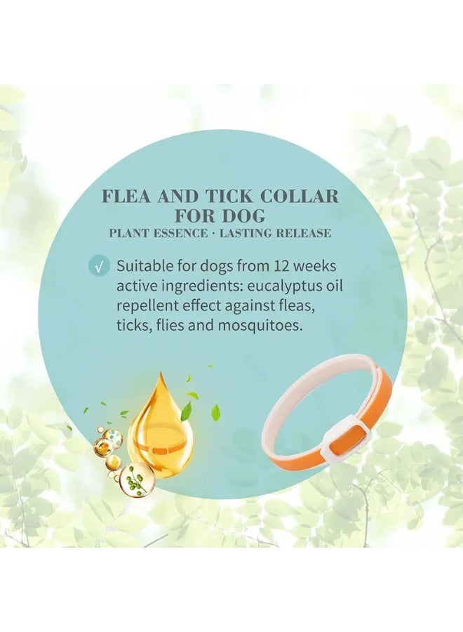 بايولاين طوق كلاب مضاد للبراغيث والقراد 60 سم – حماية طبيعية - Image 2