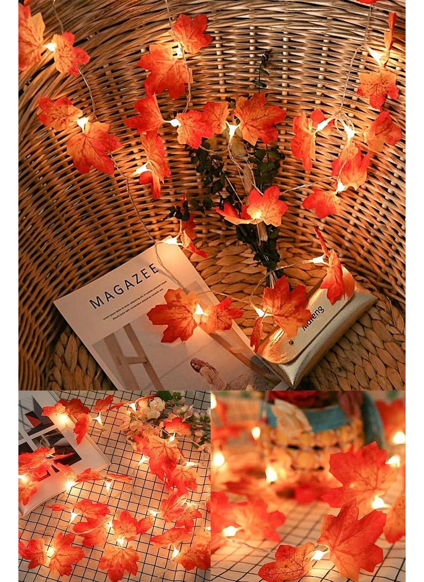 Technosmart 20-Piece Autumn Concept Decorative Leaf Strip LED Light Daylight  - Image 1