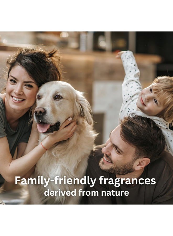 Natscent Lemongrass & Sage Essential Oils for Diffusers for Home, Nature-derived Essential Oil, Long-Lasting & Family-Friendly Diffuser Oils Scents, IFRA Certified, Cold Air & Ultrasonic - 16 oz - Image 5