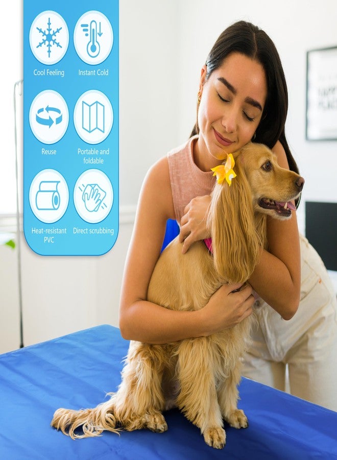 Fayoo Cooling Gel Mat for Dogs - 35.4x23.6 Inch Portable Pet Cooling Pad with Ice Silk Surface Bed for Indoor, Outdoor, Travel Includes Storage Bag (Blue) - Image 4