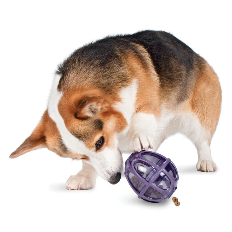 PetSafe Busy Buddy Kibble Nibble Dog Toy - Encourages Natural Instinct Feeding - Patented Treat Meter Design - Rubber Bumpers - Interactive Slow Feeder Ball - Purple - Small - Image 1