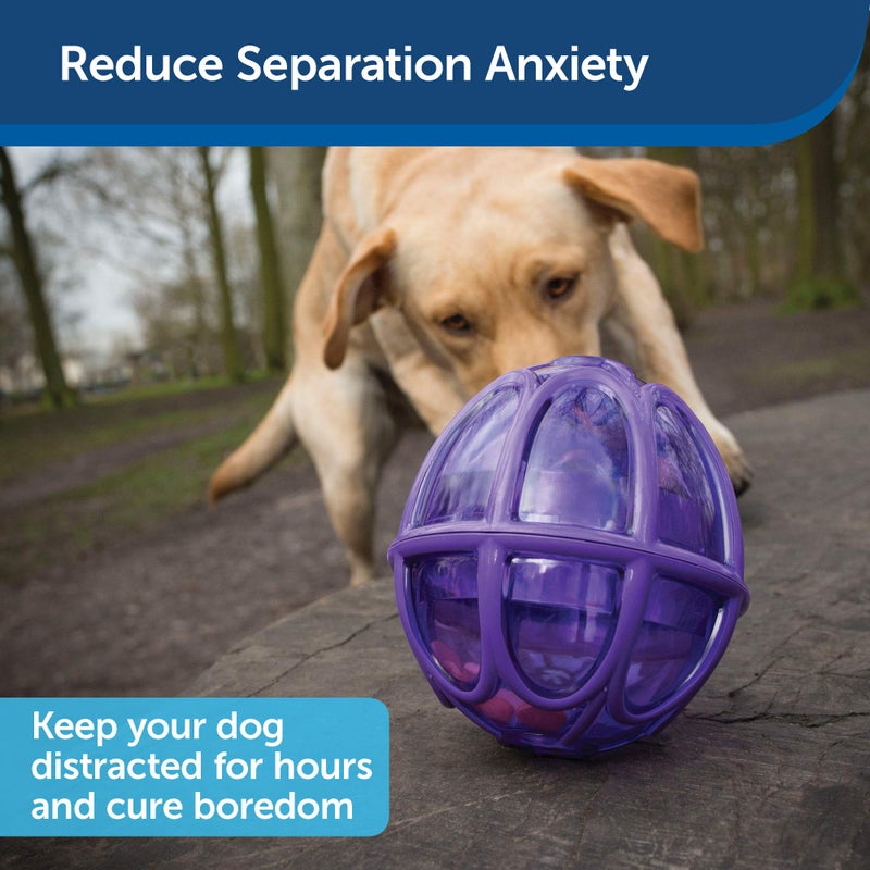 PetSafe Busy Buddy Kibble Nibble Dog Toy - Encourages Natural Instinct Feeding - Patented Treat Meter Design - Rubber Bumpers - Interactive Slow Feeder Ball - Purple - Small - Image 4