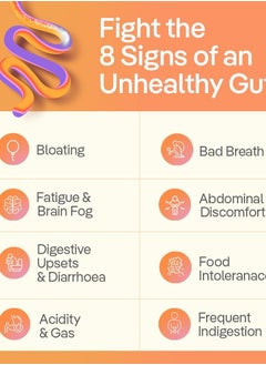 The Good Bug The Good Bug Gut Balance SuperGut Stick for Gut Health 30 Days Pack (Pack of 3)  - Image 2