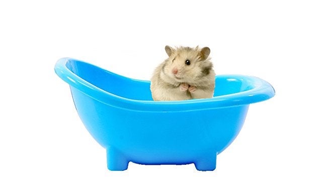 Sage Square حوض رمل استحمام بطول 19 سم لحيوانات الهامستر/القوارض/الجربيل/الشينشيلا/الفئران (أزرق) - Image 1