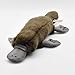 Hansa Platypus Plush Animal Toy 16 - Image 3