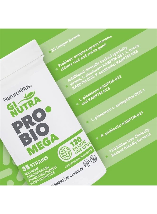 Nature's Plus NaturesPlus GI Natural Probiotic Mega - 30 Capsules - Digestive & Immune Health - Gluten Free - 30 Servings - Image 3