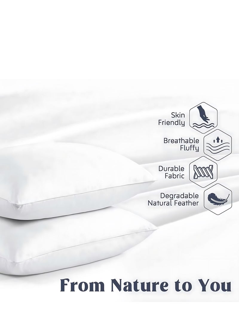 MAXQON Set of 2-Feather Bed Pillow Luxurious Comfort with Goose Feather and 100% Cotton Fabric, (White, Size 50x70 CM)  - Image 3