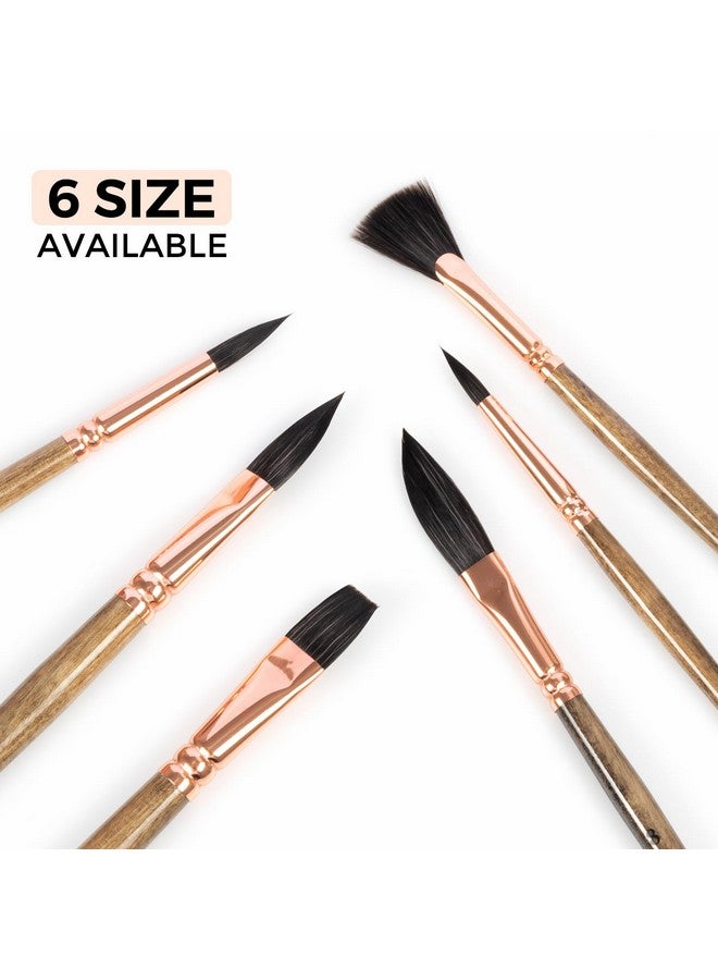 SYCYKA Paint Brushes Set - Sycyka 1Pack / 6Pcs Acrylic Paint Brush Kit Pro Grade Paint Brush Variety Shapes With Flat, Pointed Rounds, Dagger Stripper, Fan For Acrylic Gouache Inks Painting - Brown - Image 2