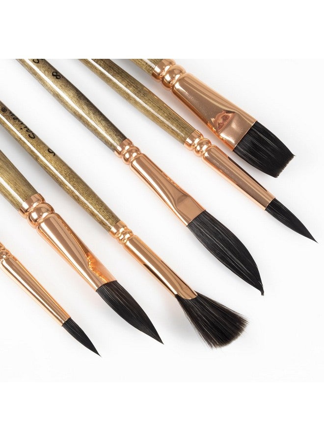 SYCYKA Paint Brushes Set - Sycyka 1Pack / 6Pcs Acrylic Paint Brush Kit Pro Grade Paint Brush Variety Shapes With Flat, Pointed Rounds, Dagger Stripper, Fan For Acrylic Gouache Inks Painting - Brown - Image 5