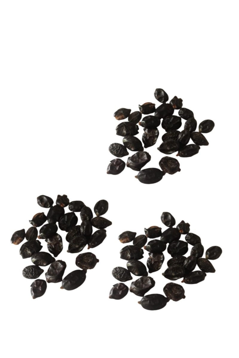 30Pcs Hydrangea Seeds Neutral Soil Easy to Plant Fast Growing Attractive Bonsai Flower Seeds for Balcony Hydrangea Seeds - Image 2