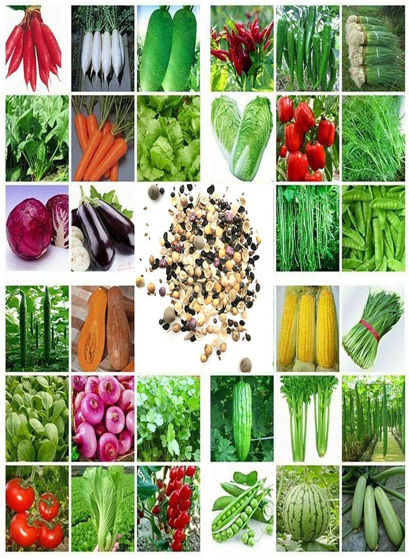 GGOOT 100pcs Seeds Fresh Fast Growing Sweet Mixed Vegetable Seeds for Garden - Mixed Vegetable Seeds - Flower Seeds Vegetable Seeds Fruit Seeds Garden Plant Seeds - Image 1