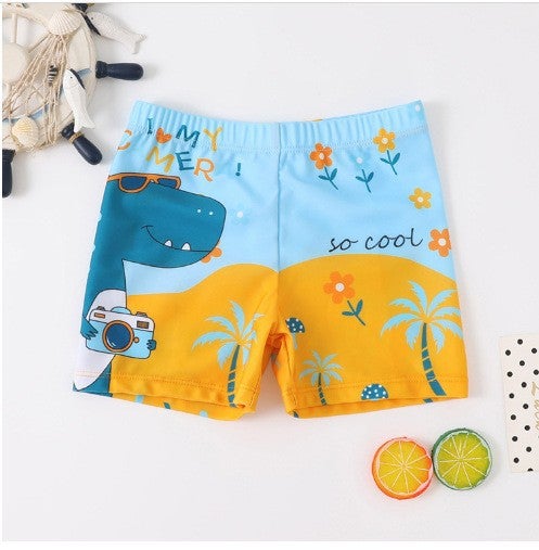 Generic Cross-border ZhongDa Childrens Swimming Trunks Childrens Swimwear Cartoon Swimming Trunks Boys Hot Spring Swimming Trunks Foreign Trade Baby Clothes Camera Dinosaur 