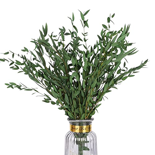 HIAGROW Real Eucalyptus Stems Greenery Decor 20PCS 17 Dried Willow Eucalyptus Plant Preserved Greenery Stems for Home Vase Filler Wedding Flowers Arrangement Spring Decorations