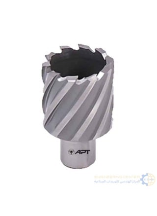 Magnetic bit 32x30mm APT HSS-XE - pzsku/ZA5E4462A619F158713C8Z/45/1747748794/83a85c8c-371f-4c1b-8246-99f3a06d3aad