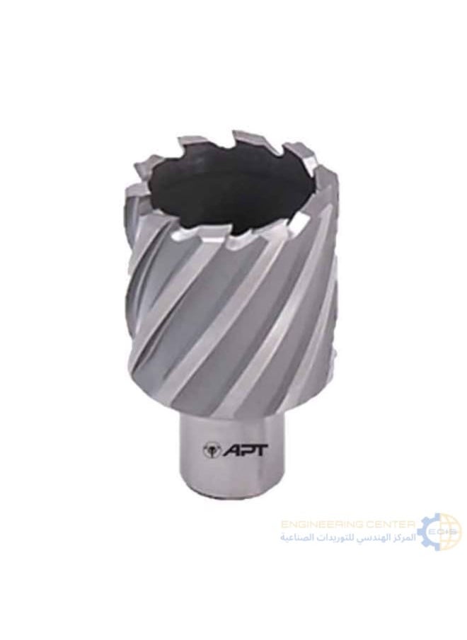 Apt Magnetic bit 32x30mm APT HSS-XE 