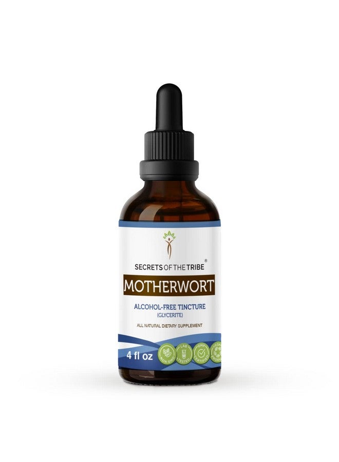 Secrets of the Tribe Motherwort Tincture Alcoholfree Liquid Extract Motherwort (Leonurus Cardiaca) Dried Herb (4 Fl Oz) - Image 1