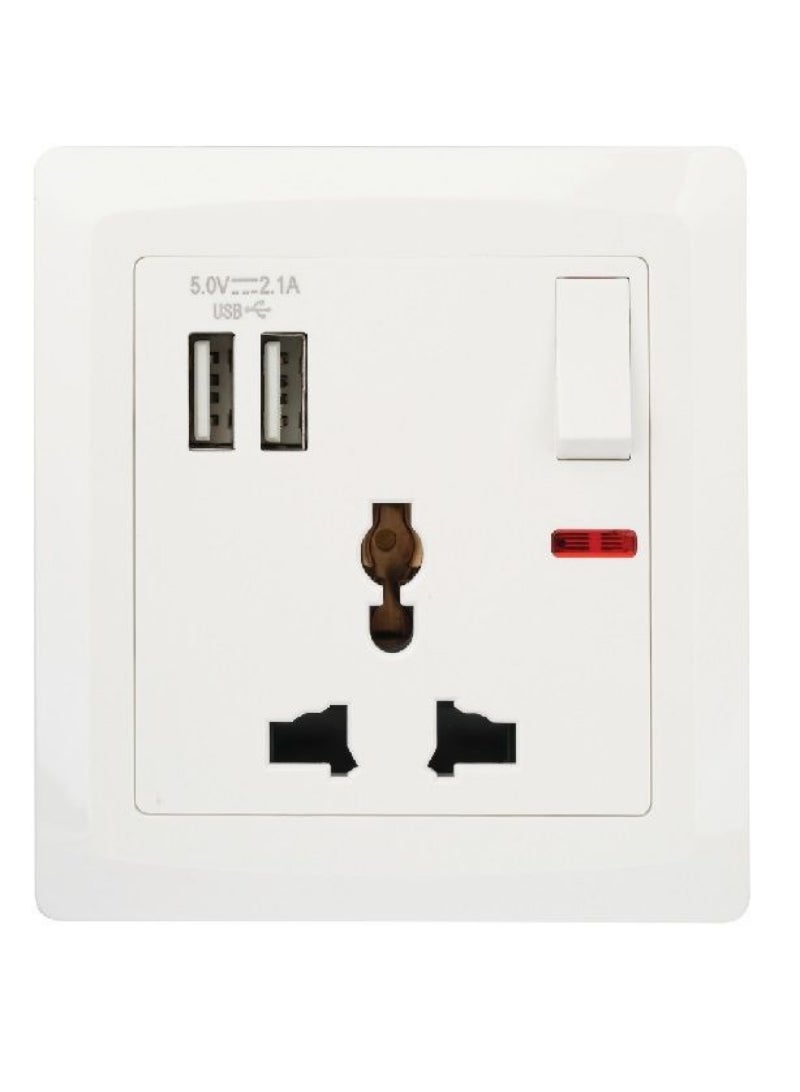 Terminator Wall Plate With Universal Switch Socket + 2 USB Neon Indicator TWS 1SUI-2USB