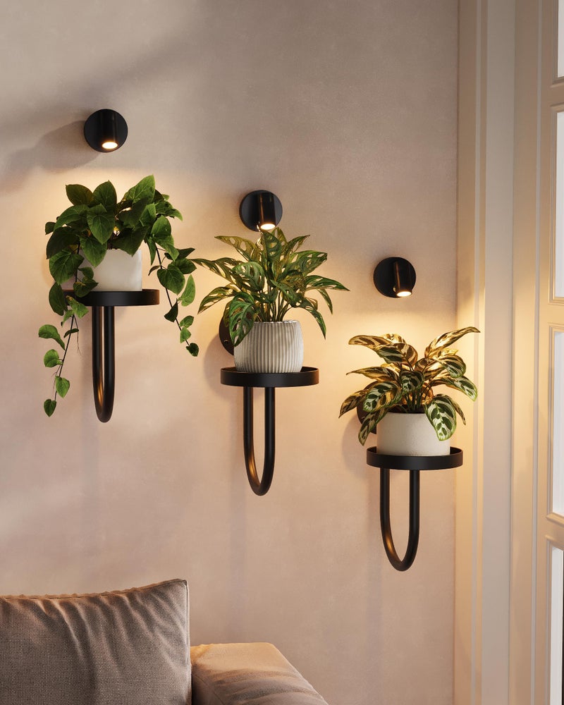 Bamworld Wall Decor Plant Stand with Lights Wall Art Planters Window Plant Hanger Indoor Hanging Planters for Indoor Plants for Living Room Black - Image 1