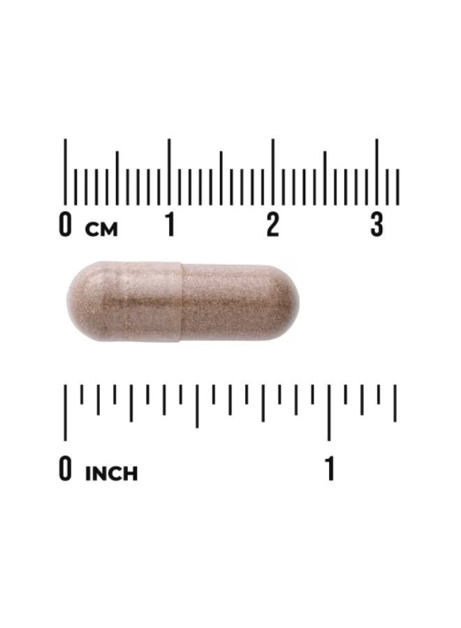 SWANSON Wild Yam Root, 100 Capsules - Image 3