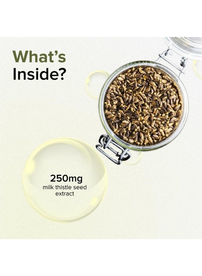 GNC Milk Thistle 250mg with 80% Silymarin | 90 Veg Capsules | Supports Liver Detox, Liver Health, Alcohol Protection, & Fatty Liver Care | Helps Remove Toxins & Boost Liver Function | USA Formulated - Image 4