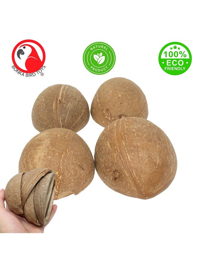 Bonka Bird Toys Bonka Bird Toys 1031 Pk4 Half Shell Coconuts Natural Forage Chewing Party Arts Craft Parrot Macaw African Grey - Image 2