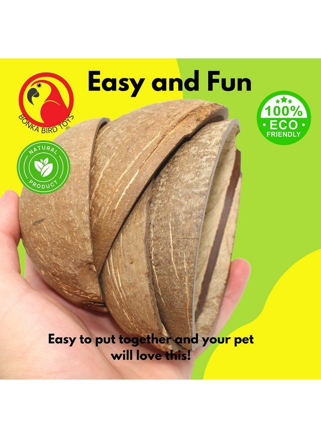 Bonka Bird Toys Bonka Bird Toys 1031 Pk4 Half Shell Coconuts Natural Forage Chewing Party Arts Craft Parrot Macaw African Grey - Image 3