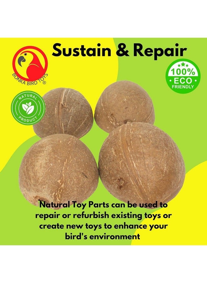 Bonka Bird Toys Bonka Bird Toys 1031 Pk4 Half Shell Coconuts Natural Forage Chewing Party Arts Craft Parrot Macaw African Grey - Image 4