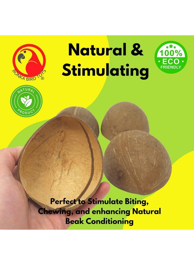 Bonka Bird Toys Bonka Bird Toys 1031 Pk4 Half Shell Coconuts Natural Forage Chewing Party Arts Craft Parrot Macaw African Grey - Image 5