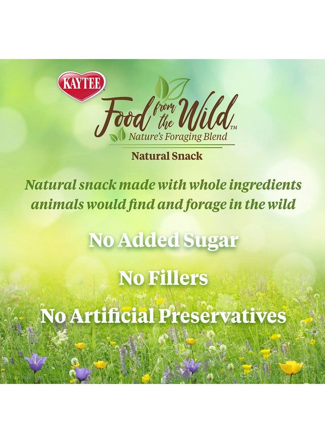 كايتي طعام كايتي من ذا وايلد، وجبة خفيفة طبيعية للأرانب الأليفة وخنازير غينيا وغيرها من الحيوانات الصغيرة، 1 أونصة - Image 4