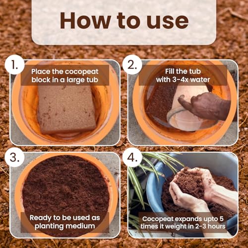 Pivalo كتلة بيبالو كوكوبيت سماد عضوي وسماد تربة مزيج كوكو بيت للزراعة المنزلية والنباتات في الأصص (1 كجم) - Image 5