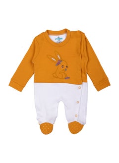 Babies Basic 100% Cotton Printed Long Sleeves Sleepsuit With Feet Covering For Babies  - Image 1