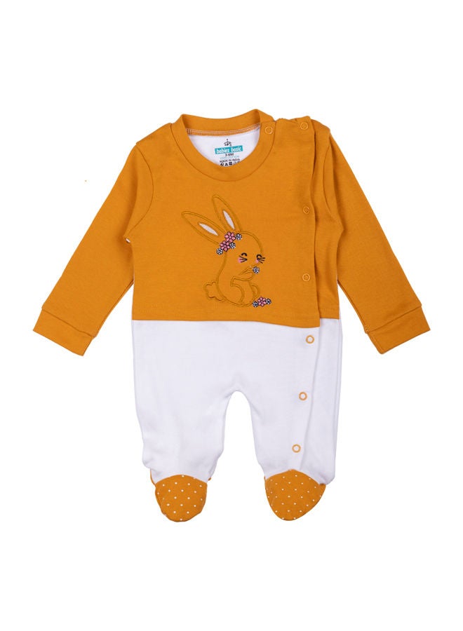 Babies Basic 100% Cotton Printed Long Sleeves Sleepsuit With Feet Covering For Babies - Image 1