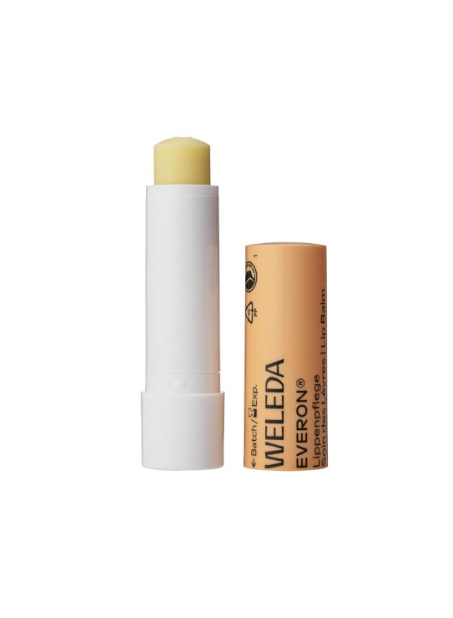 Weleda Everon Lip Balm, Soin Des Levres - 0.17 Oz, White - Image 2