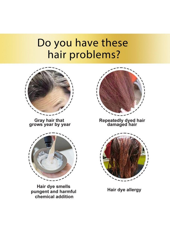 جيه آي اس كيه جي شامبو رغوي لصبغ الشعر بمستخلصات نباتية لصبغ الشعر الرمادي، صبغ طبيعي للنساء والرجال (أسود) - Image 4