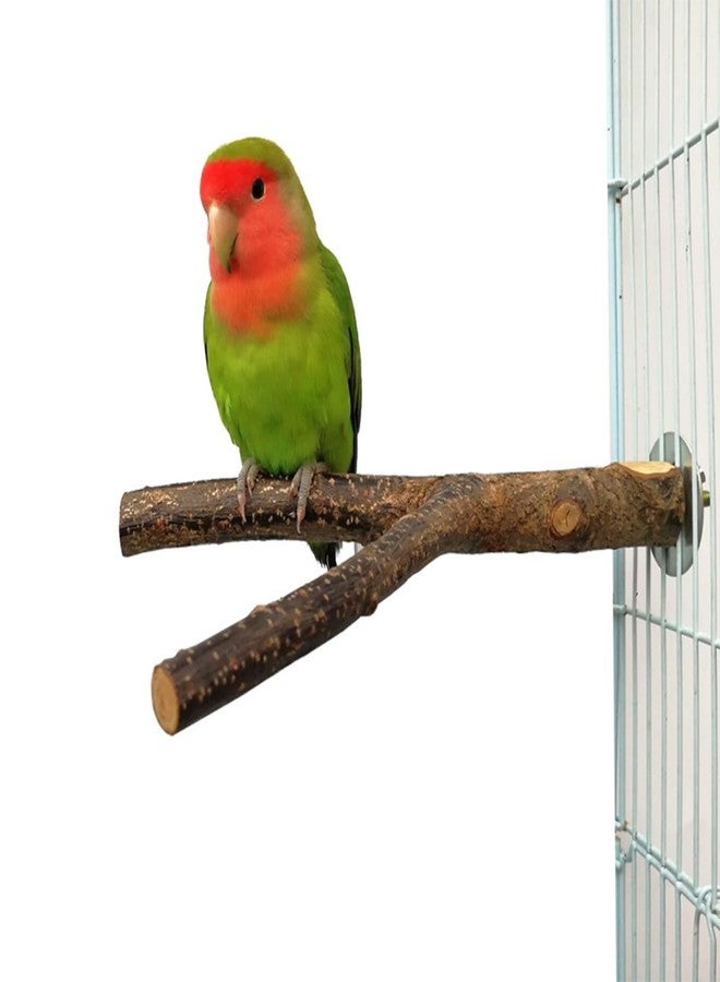 TANOMA 4PCS Natural Wood Bird Perches for Cage, Parrot Cage Perch Stand, Cage Accessories, Wooden Platform for Birds, Toys for Parakeets, Cockatiel, Budgie, Conure - Image 2