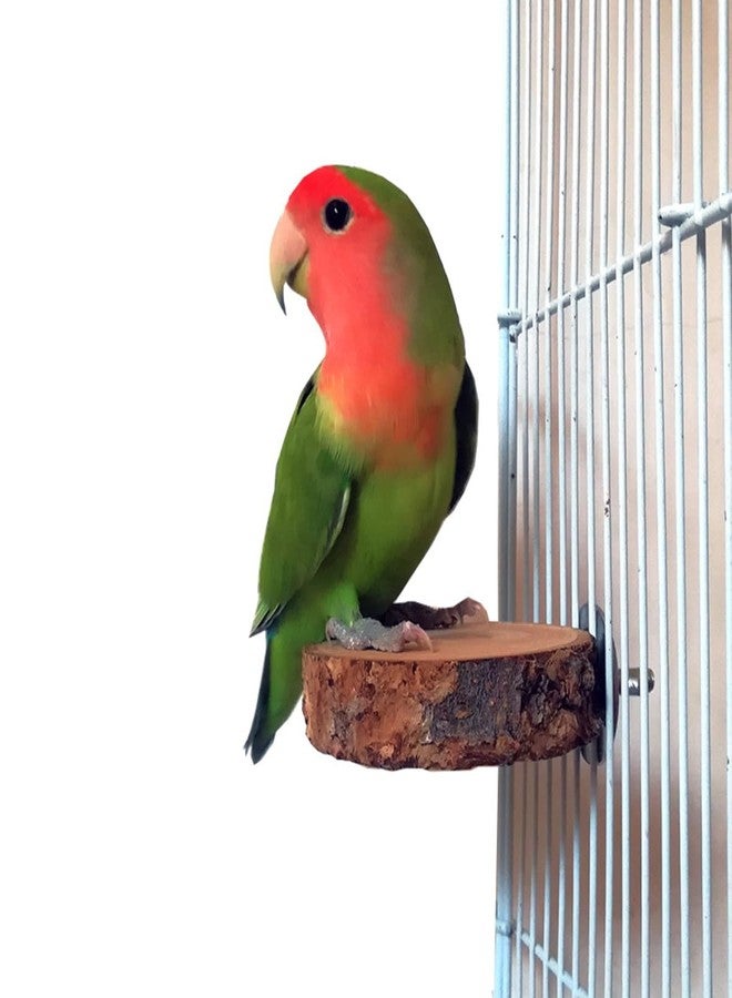 TANOMA 4PCS Natural Wood Bird Perches for Cage, Parrot Cage Perch Stand, Cage Accessories, Wooden Platform for Birds, Toys for Parakeets, Cockatiel, Budgie, Conure - Image 3